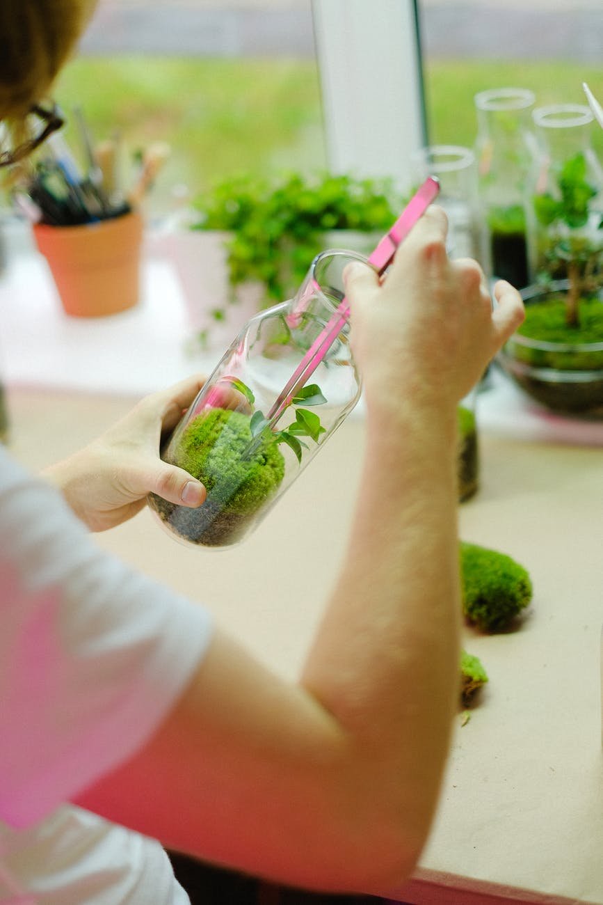 scientist with a plant in a bottle